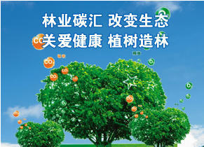 bjl官网登录831999：：发展区域性碳买卖合作的必要性