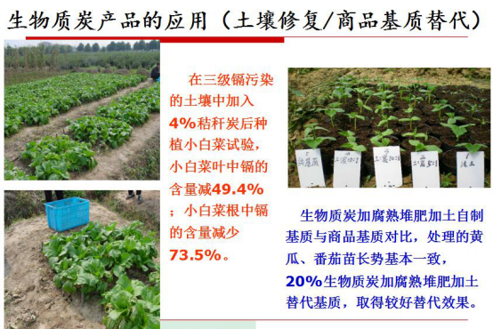 bjl官网登录生物质气化发电带来的社会效益