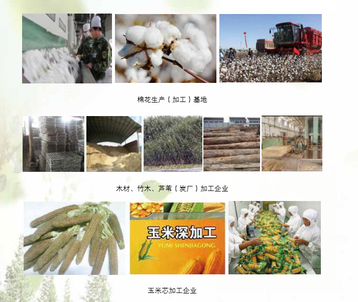 bjl官网登录生物产品利用领域