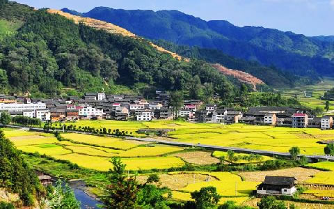 ：豣jl官网登录与锦屏县就林业碳汇项目达成合作